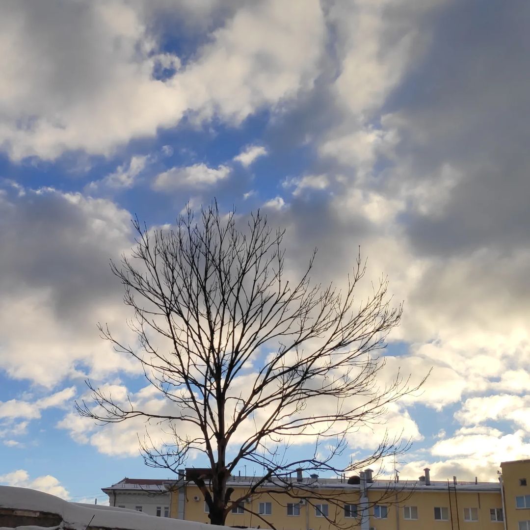Немножко по-весеннему.🌞🌷🌞🦋🌞🌿🌞