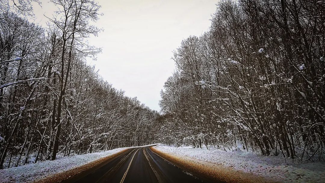 mishqa_kondaurov