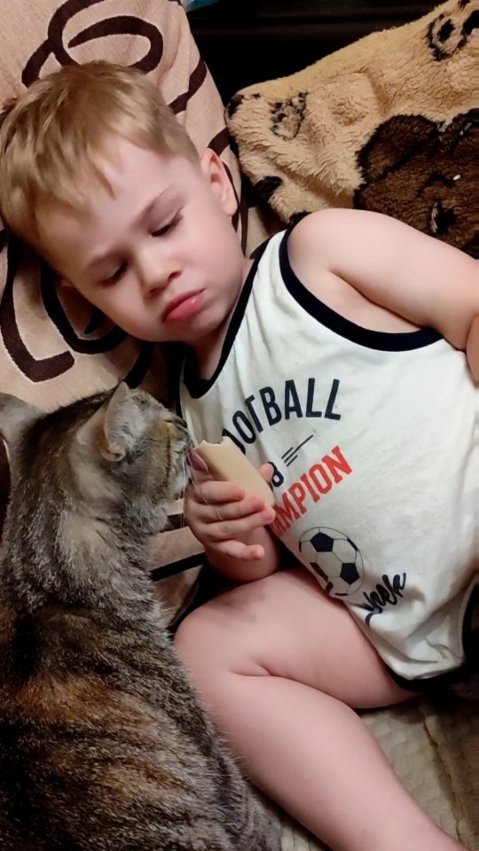 iri_ska_32 в LOOKY. #милота,#детиикотики,#funnycat,#friends,#идиллия. И - идиллия ❤❤❤ #мил...