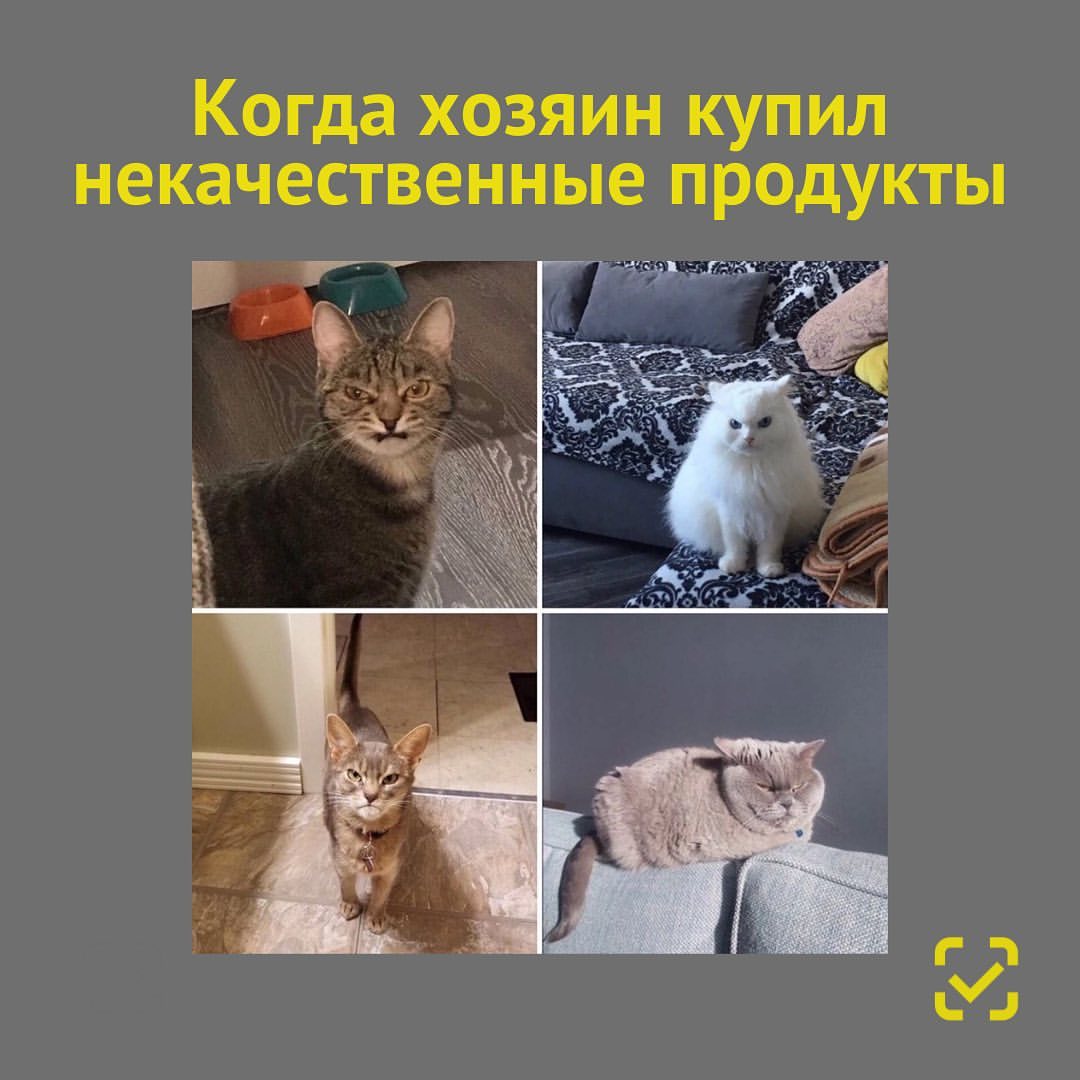 chestnyznak в LOOKY — Что происходит, когда вы случайно покупаете подделку?

🔍 Не