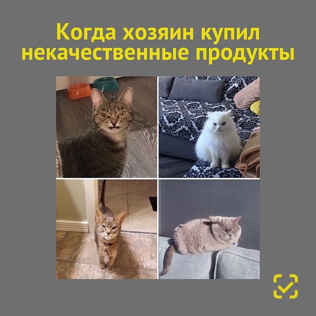 chestnyznak в LOOKY. #честныйзнак,#маркировка,#качество. Что происходит, когд...