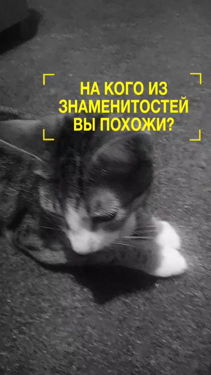 ekaterina174 в LOOKY. . Спайс звездочка моя ...