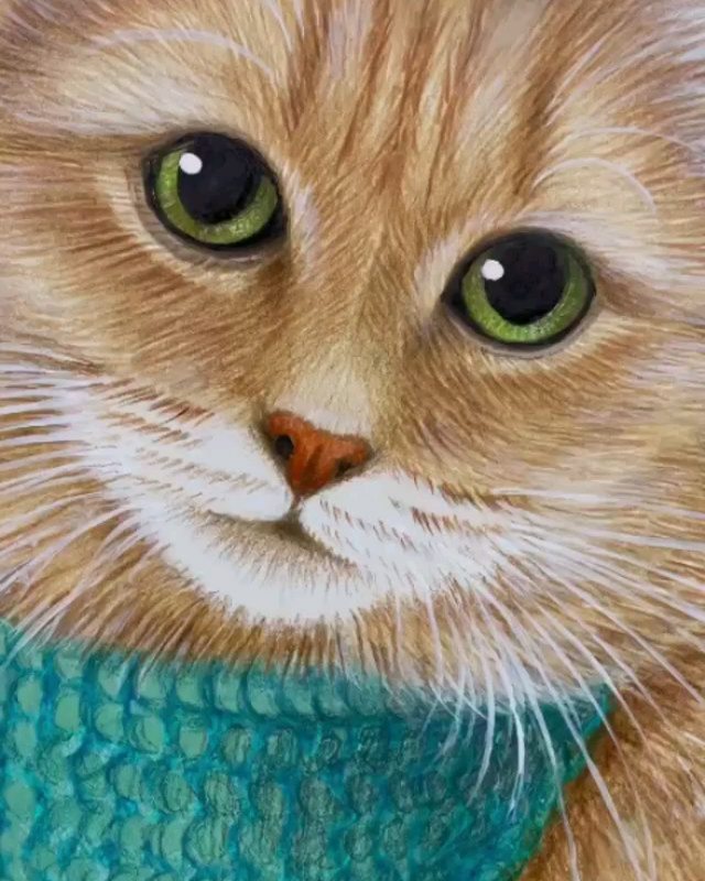 cat__redcat в LOOKY — фото 2