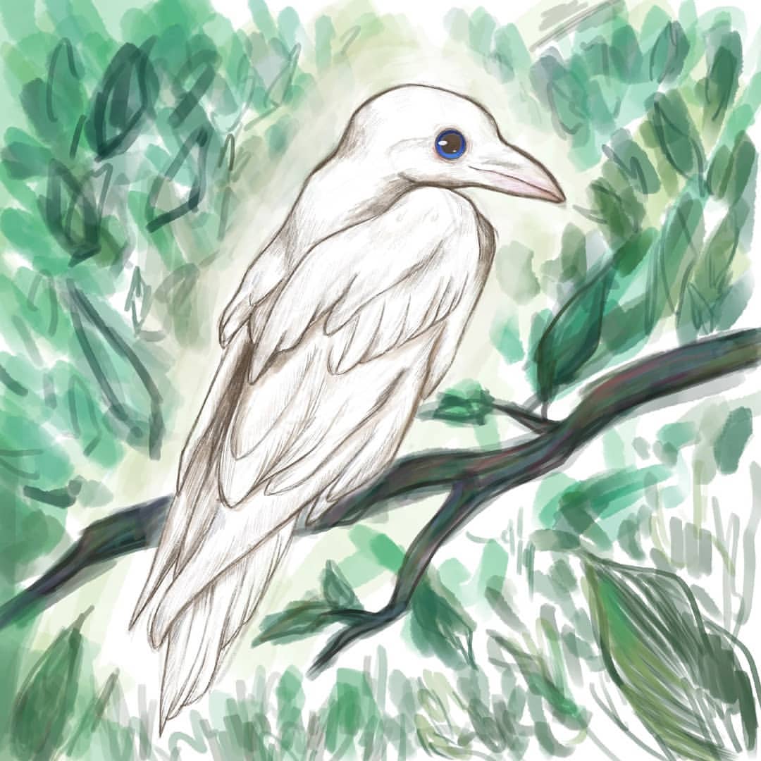 #art #arts  #raven  #drawing #digitalart