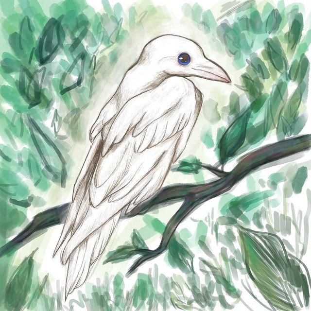 tworozhok.art в LOOKY. #art,#arts,#raven,#drawing,#digitalart. #art #arts  #raven  ...