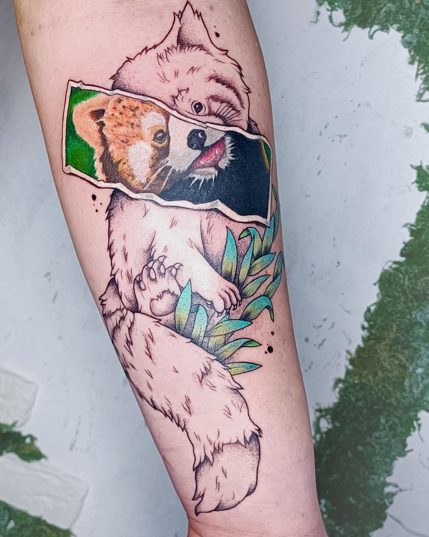 firman_tattoo в LOOKY — фото 2