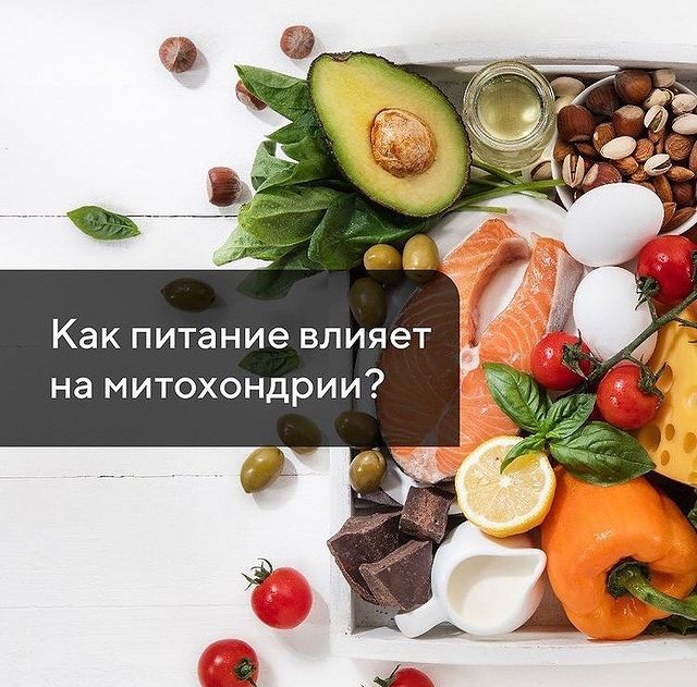ekaterinagorhckova в LOOKY. #LCHF#Vologda. Как питание влияет н...