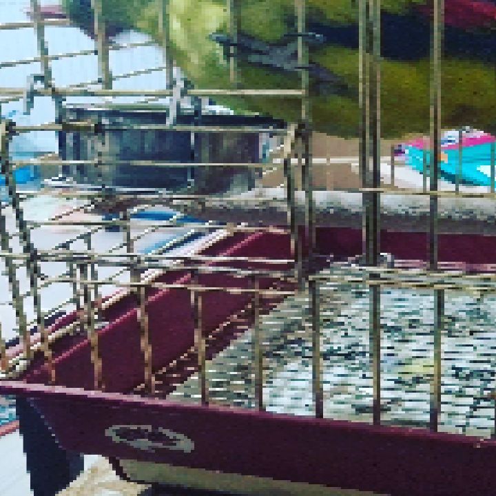eeenverkilinccc в LOOKY. #papağaneğitimi,#papağan,#papağansahiplendirme,#papagan,#papaganturkiye,#papaganegitimi,#parrottrainer,#papağanlar,#parrottraining,#papağankafesi,#parrot,#regentparrot,#ankara,#keçiören,#pursaklar,#çubuk,#akyurt. Pazar banyosu 🚿🚿

...