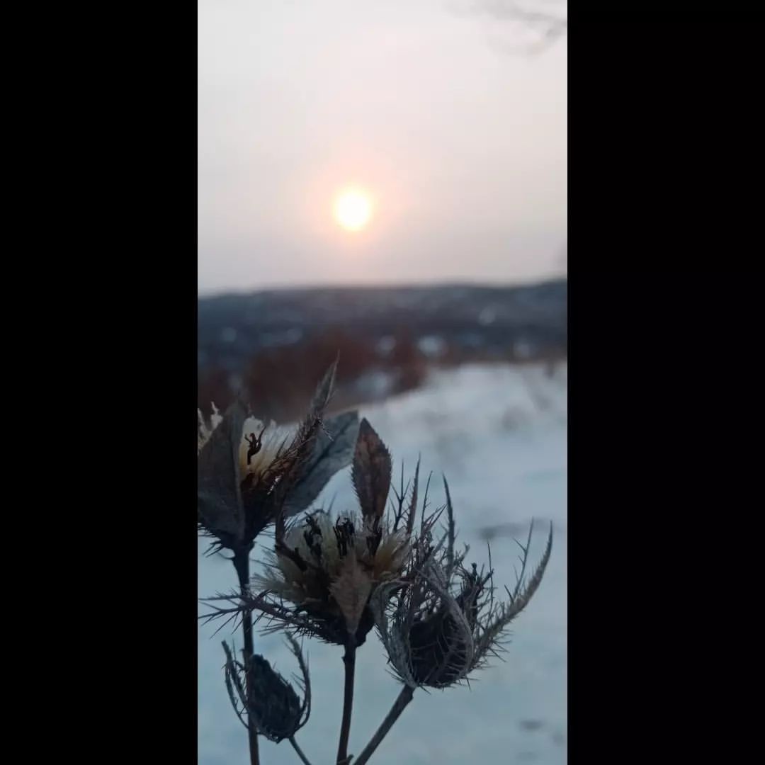 - А как ты набрёл на это место, если не секрет?
- Как, как.. - Усмехнулся я. - Примерно так же, как я всегда влипаю в истории... 😃