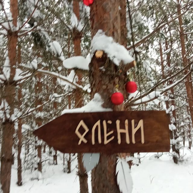 svetlanamazneva в LOOKY. . Побывали в волшебном...