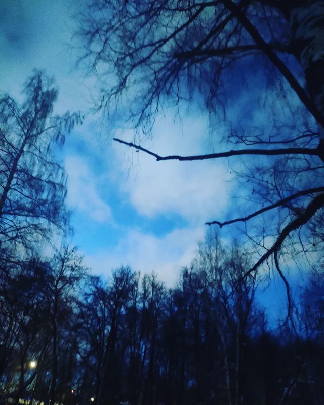 arina_snake в LOOKY. #нижний_новгород,#сормовскийпарк. Природа рисует ☁️☁️☁...