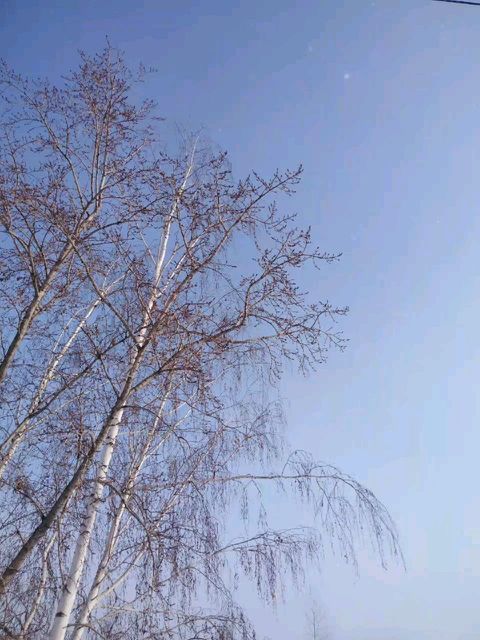 stilaolga_business в LOOKY. #14февраля,#влюбленнаявжизнь,#копирайтер. С днем влюблённой, д...
