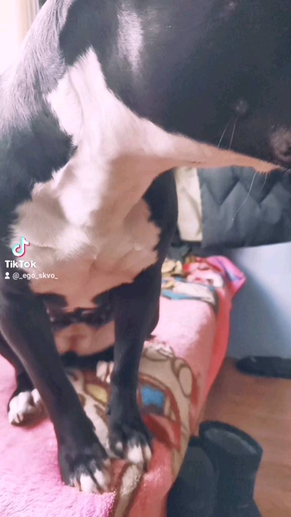 jadina_1 в LOOKY. . null