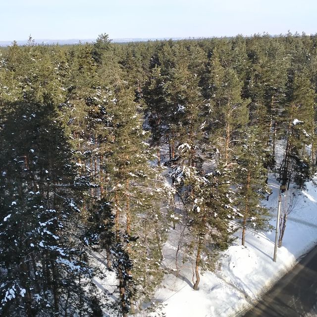 norengar66 в LOOKY. #вид. #вид из окошка..🌲🌲...