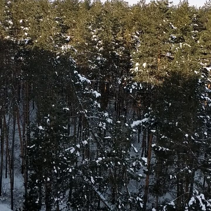 norengar66 в LOOKY. #красивенько. #красивенько!!!🌲🌲�...