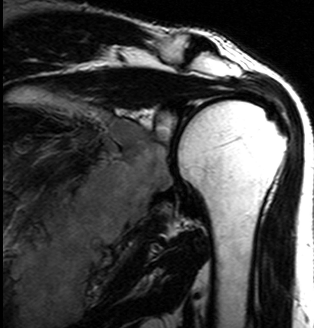 russianradiology в LOOKY — фото 5