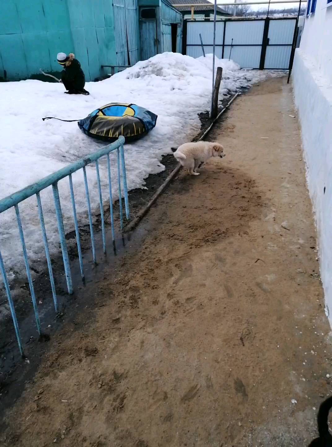 irina_davletsh в LOOKY. . Зачем таблетки, когд...