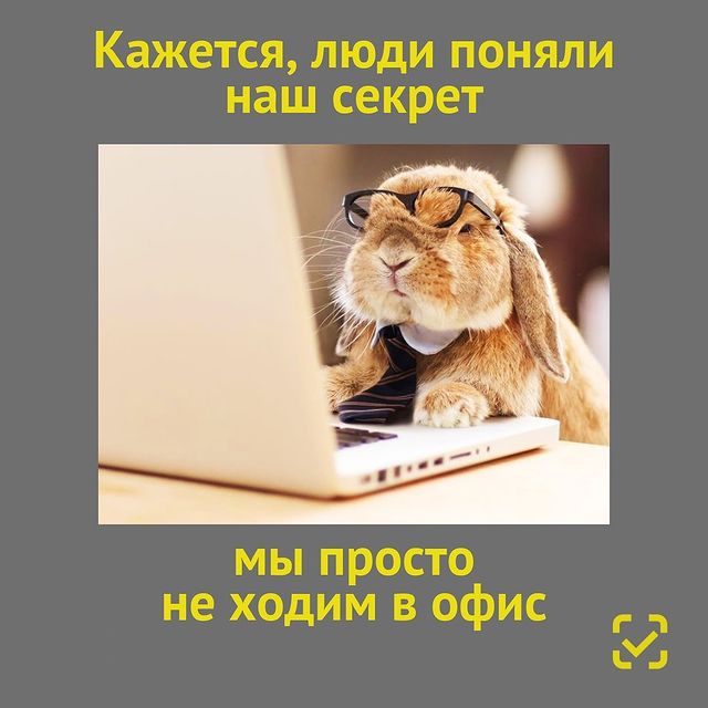 chestnyznak в LOOKY. #маркировка,#честныйзнак,#препараты,#лекарства. ⚡️Спрос на средства ...