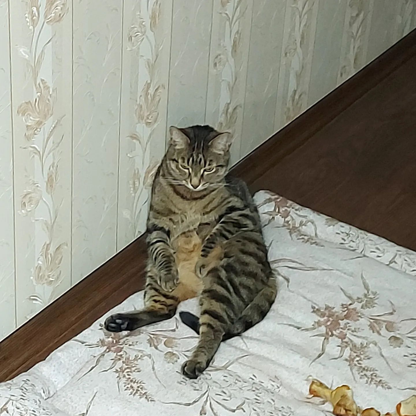 oksandrolon в LOOKY. . Почему я здесь? Что ...