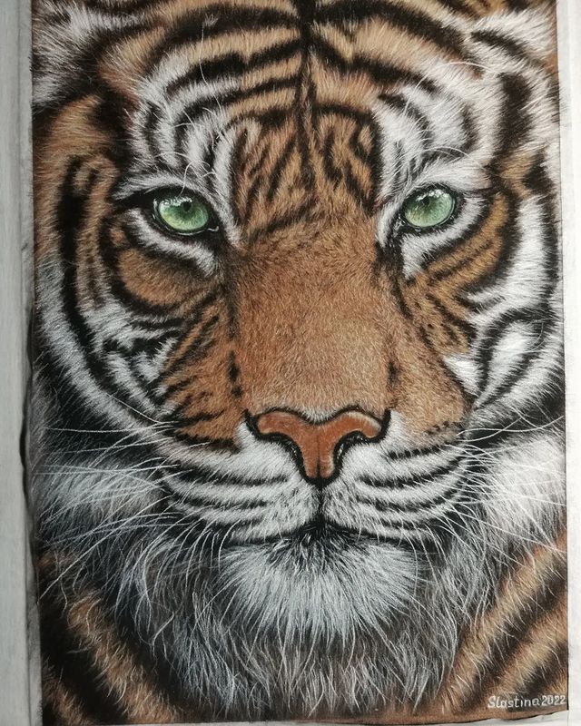 slastina_art в LOOKY. #sennelier,,#пастель,#бумагадляпастели,#рисунокпастелью,#панпастель,#кошки,#тигр,#символгода,#softpastel,#stabilo,#Dervent,#kohinoor#pastelart,#pastel. Вот и готов "Моя пре...