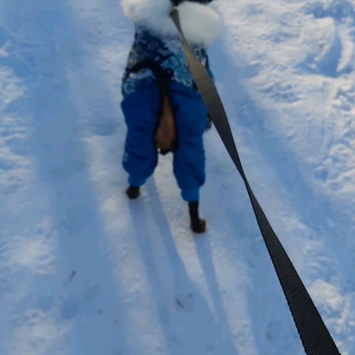 nik.mirusya.16 в LOOKY. . Никки гуляет,знакоми...