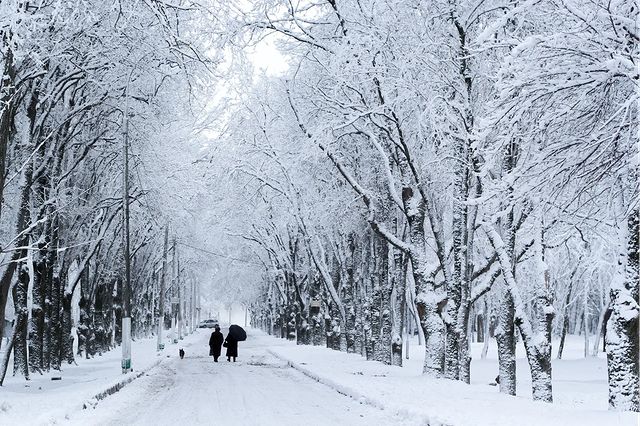 elenamoki в LOOKY. #Краснодарскийкрай,#краснодар,#крд,#ПРЕКраснодар,#зима,#снег,#krd,#Krasnodar,#winter. Заснеженный Краснода...