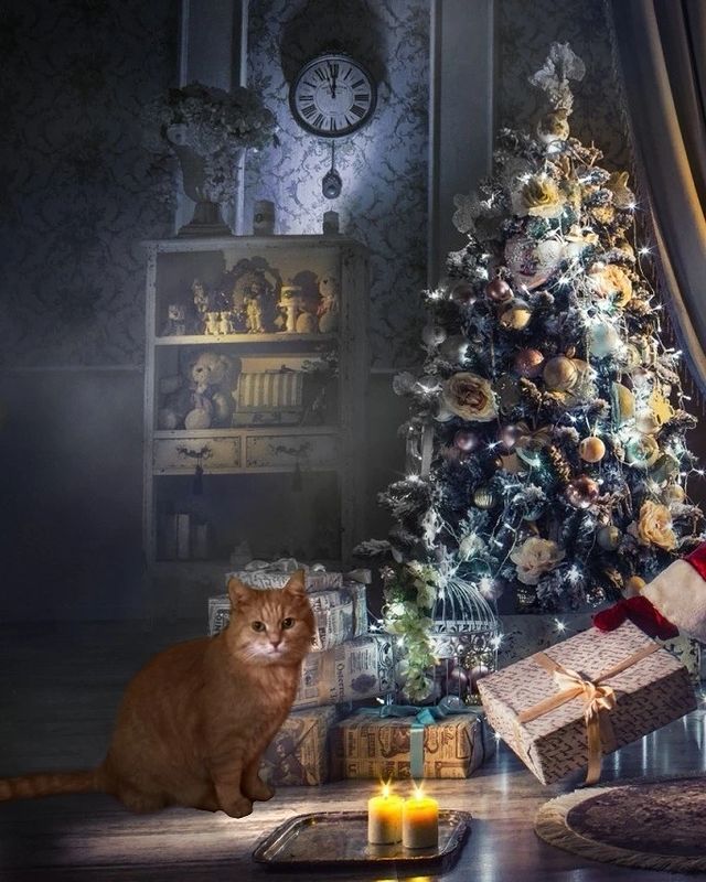 cat__redcat в LOOKY. #рыжий_распакуй,#рыжийкот,#инстакот,#безкотажизньнета,#безкотаскукота,#котизм,#мойкот,#котозависимость,#мойлюбимыйкот,#подарки,#котоблог,#котовасия,#котейка,#котэ,#котик,#котикинаркотики,#новыйгод. Закончен бал, погасл...