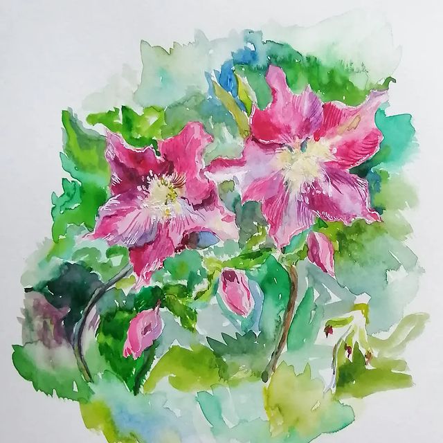 mariamileshkina в LOOKY. #watercolor,#акварель,#цветыакварелью,#морозник,#рисунокакварелью,#paint,#живопись. Морозник.
Хотела поу...