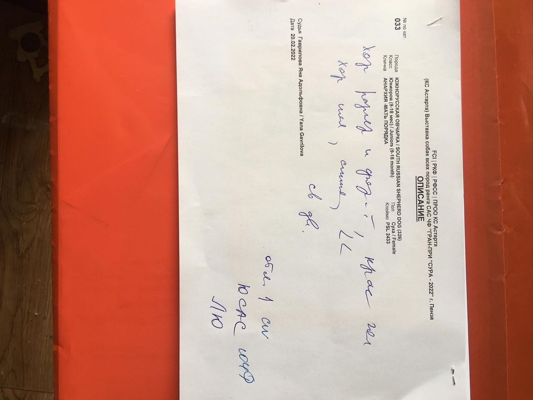 iz_v_s в LOOKY — фото 2