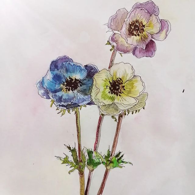 mariamileshkina в LOOKY. #акварель,#watercolor,#цветыакварелью,#скетч,#анемоны,#живописьакварелью,#живопись,#акварельныйскетч,#акварельныйрисунок,#анемоныакварелью. В далёком детстве уз...