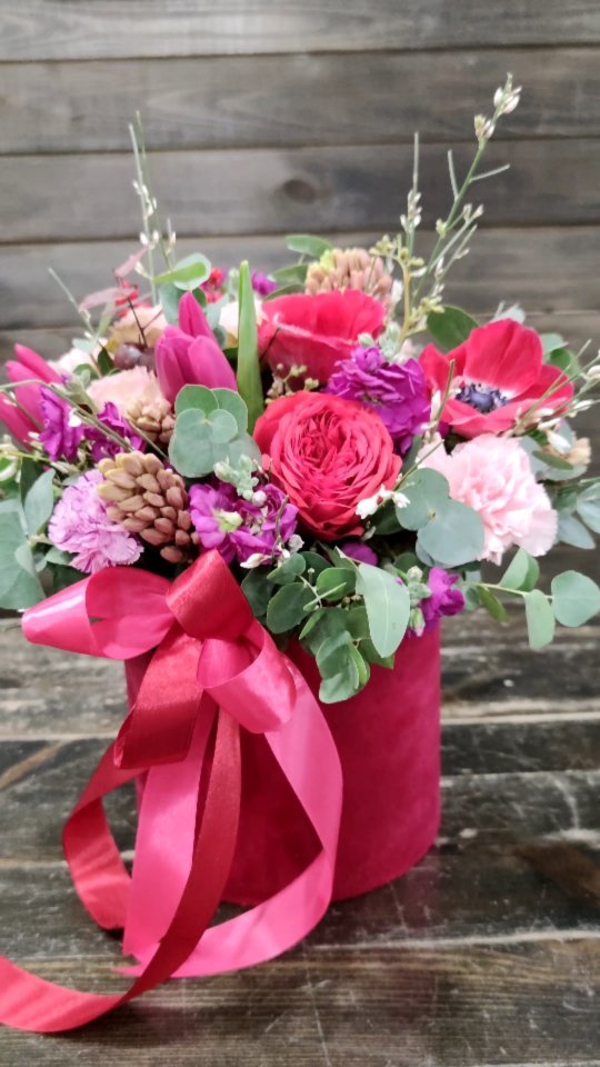 _tatiana_flowers_ в LOOKY. #квеснеготова,#анемоны,#геоцинты,#тюльпаны,#матиола,#красотавкоробочке,#своимируками,#флористика,#флорист,#весна,#люблюцветы,##веснавдуше,#яркиекраски,#яркиецвета,#отличноенастроение. К весне готовы😃💐
#...