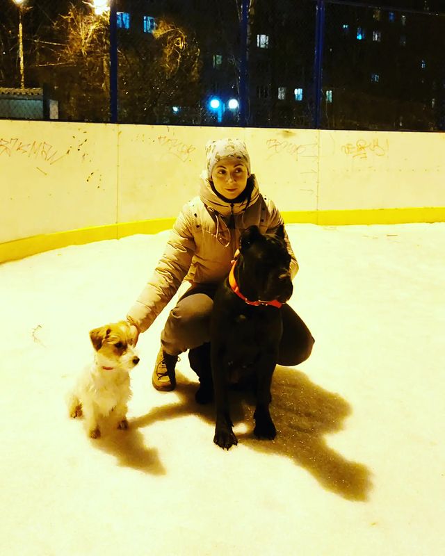 jakmarysaf в LOOKY. #джекрассел,#изимперииинес. Мои сладкие девочки�...
