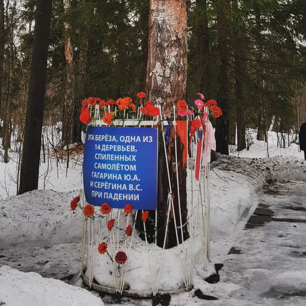 tomasolovei в LOOKY — фото 2