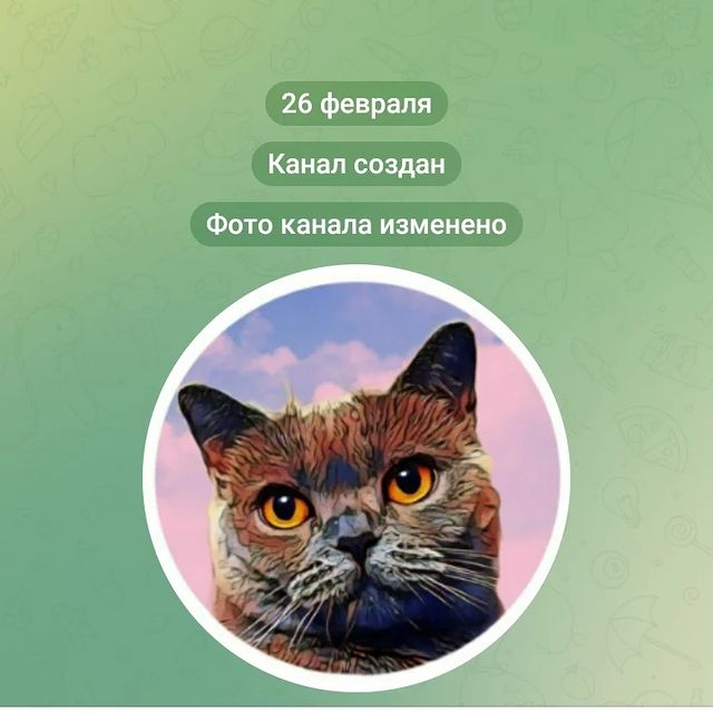 cat_musia_star_and_sima в LOOKY. #кошкамуся,#муся,#кошечка,#любимка,#котикиобормотики,#безкотаижизньнета,#котомир,#котодрузья,#инстакошка,#шотландскаякошка,#cats,#catphoto,#catmusya,#catsofinstagram,#catlife,#catfriends,#instacat,#catsphotography,#lovecats,#friendscat,#fluffy. Привет, друзья! ❤

В...