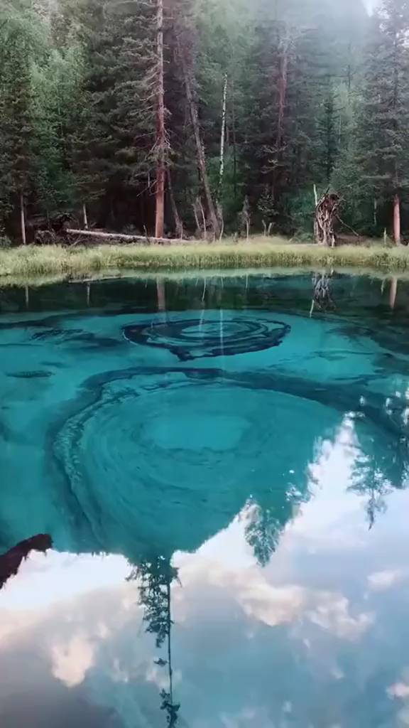 mebelmassiv.krd в LOOKY. #прекрасноерядом,#мирпрекрасен,#мирногонебанадголовой,#красиваяприрода,#красотавокруг,#природалучшийхудожник,#наслажлайтесь,#моментыжизни,#красивоевидео,#словасосмыслом. Обернись, посмотри, ...
