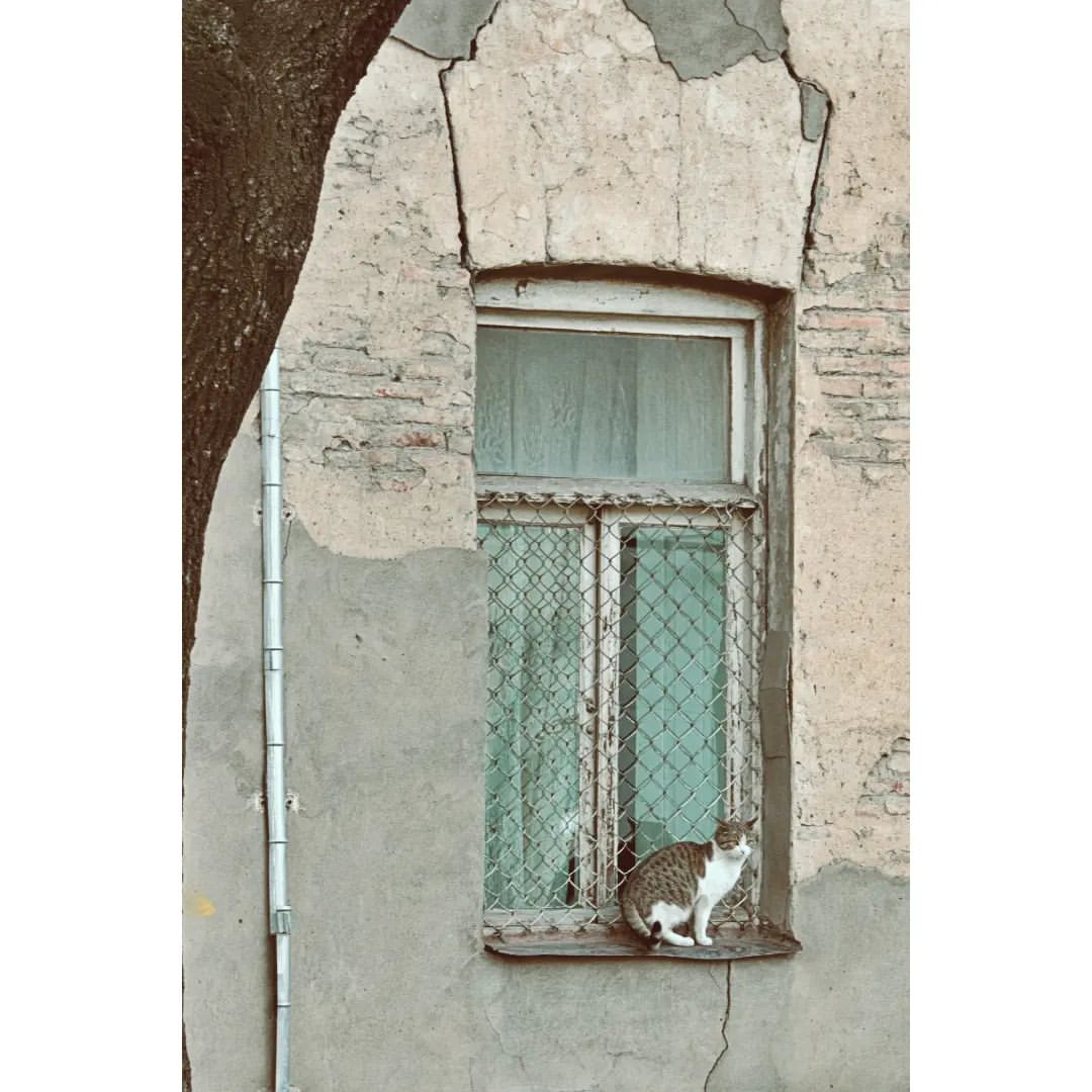 nika.varnazova_ph в LOOKY — фото 4