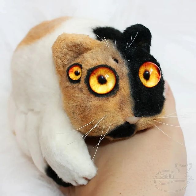 atola.name в LOOKY. #кот,#паук,#котопаук,#паукот,#игрушкисвоимируками,#игрушкавподарок,#натюр,#реалистичнаяигрушка,#spider,#cat,#mew_gallery,#antitaxidermy. Новый трехшерстный к...