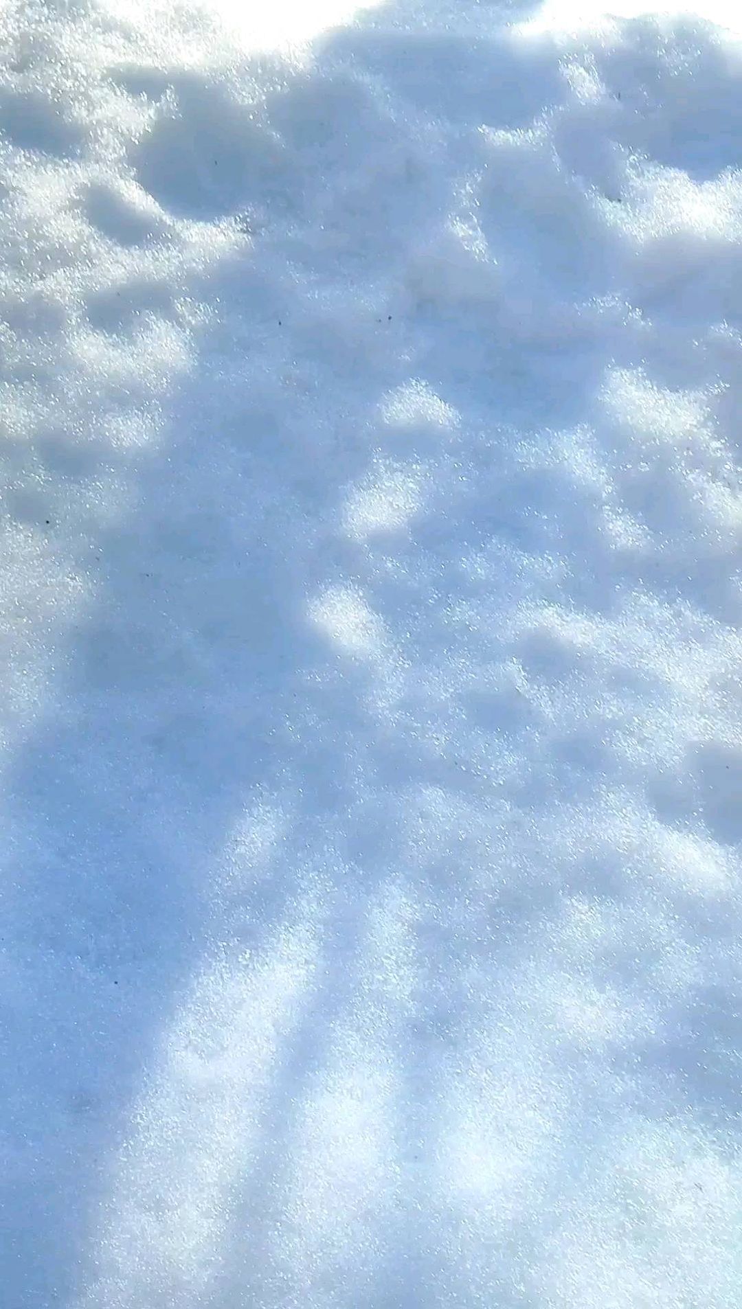 Нина Ромашка в LOOKY. . null