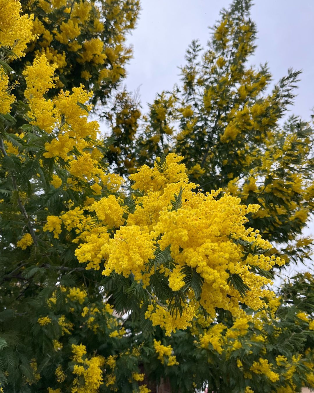 Сердечко в копилочку🥰