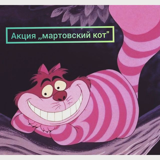 panteravet в LOOKY. #акциямартовскийкот,#акциянастерилизацию,#ветклиникапантера,#ветклиникабелоозерск,#белоозерский,#воскресенскийрайон,#неплодистерилизуй. ❗Уважаемые клиенты❗
...