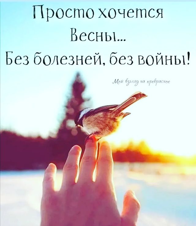 skorena в LOOKY. #россиянавсегда,#любвивсердце,##счастьявдуше💞,#зачемтакоймир_есливнемнебудетроссии,#надземлеюсолнцесветит_родинамоя,#всефлагимира_вгостикнам. У человека есть жена...