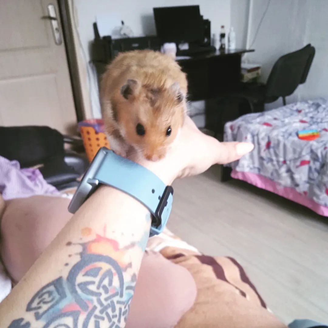  в LOOKY — публикация