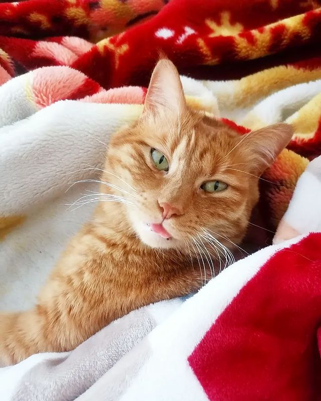 kotya_cat_khv в LOOKY. . Сегодня 1 марта-Всем...