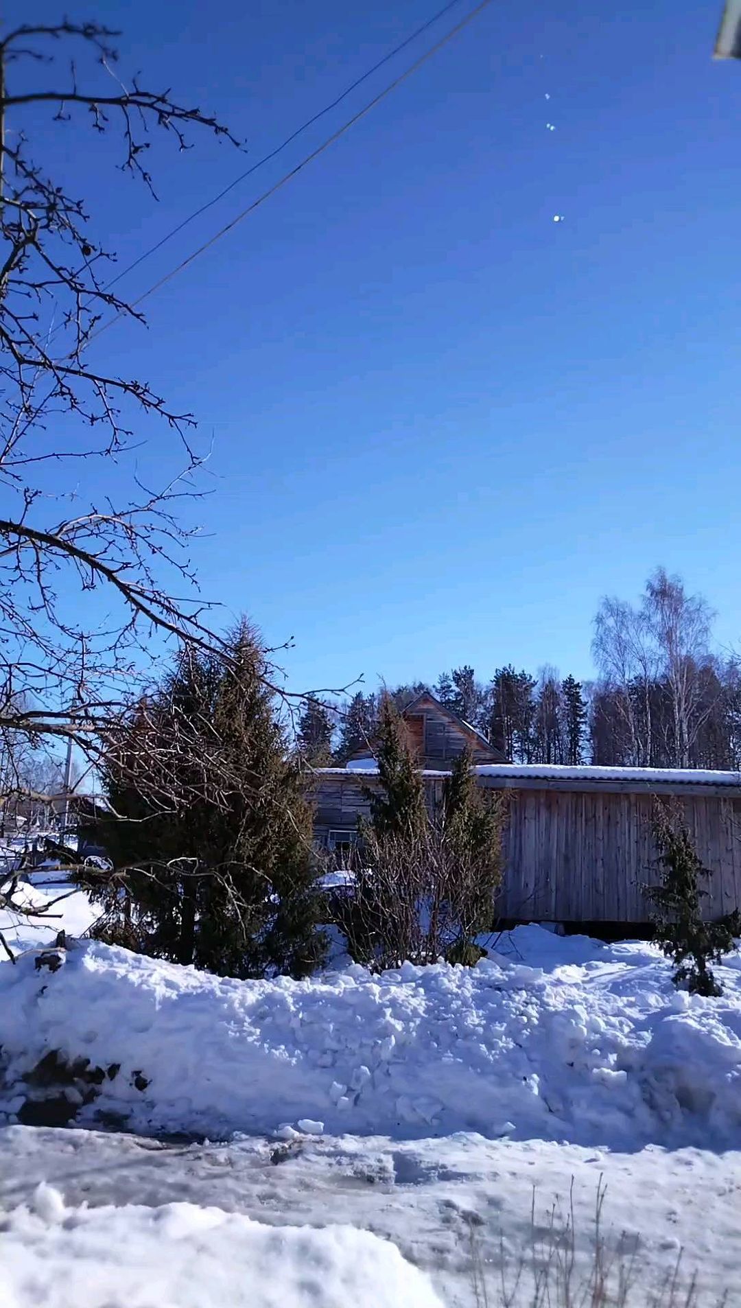 baryshniak in LOOKY. . null