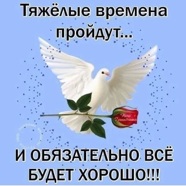 jana4vok в LOOKY. #мненестыдно. Пусть все наши мальч...
