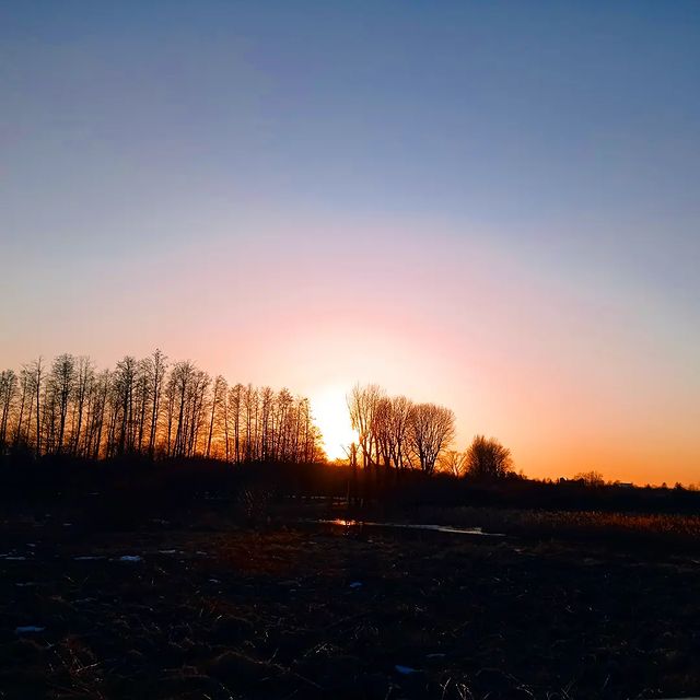 maksim_tmsh в LOOKY. . null
