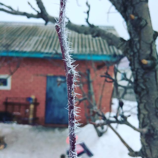 arturkashapov87 в LOOKY. #пасеказимой,#медок,#пчелы,#мед,#башкирскиймед,#пасекаподгорой,#пасекаподгоройТоратау,#шиханы,#шихан,#горныймед,#пользаприроды. Иду такой по саду......