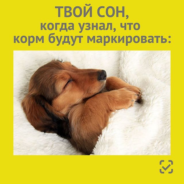 chestnyznak в LOOKY. #честныйзнак,#маркировка,#корм. Здоровье наших питом...