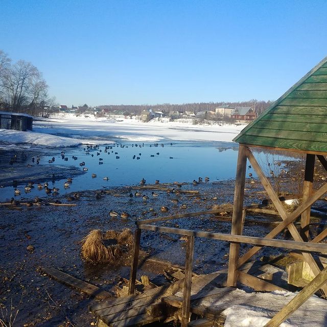 alexey_v_fishing в LOOKY. . Вот и наступила долг...