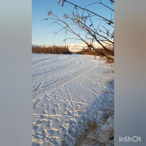 t_a_lot в LOOKY. . null